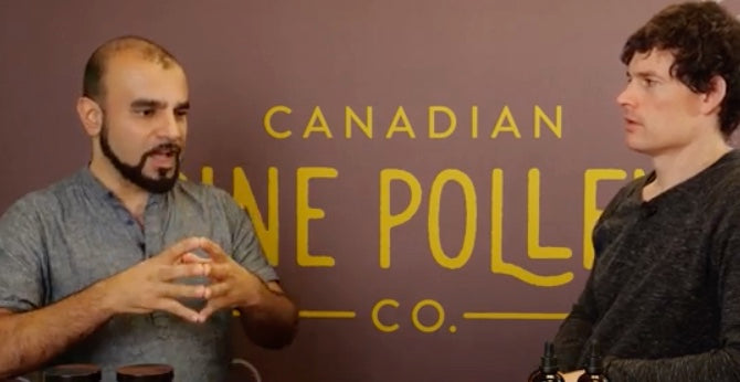 Pine pollen powder VS pine pollen tincture; what is the diffrence and which one should I tale