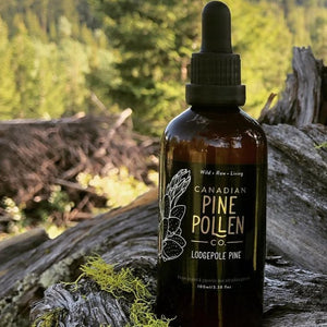 Lodgepole Pine Pollen Tincture - Certified Organic (100mL-3.4 fl oz)