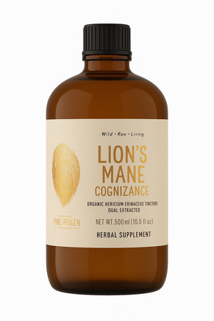Organic Lion's Mane Tincture (250mg/ml) | 1:4 dual extract- Fruiting body (100ml/3.4oz)
