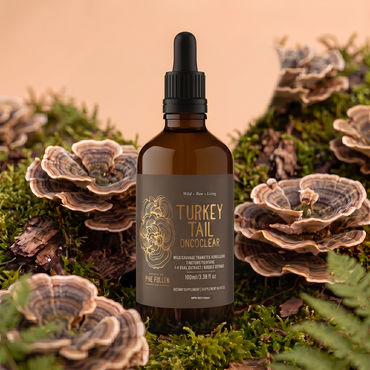 Certified Organic Turkey Tail Tincture Wild | Ultrasonic dual extract
