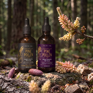 Wild Pine Pollen Tincture Duo - Certified Organic