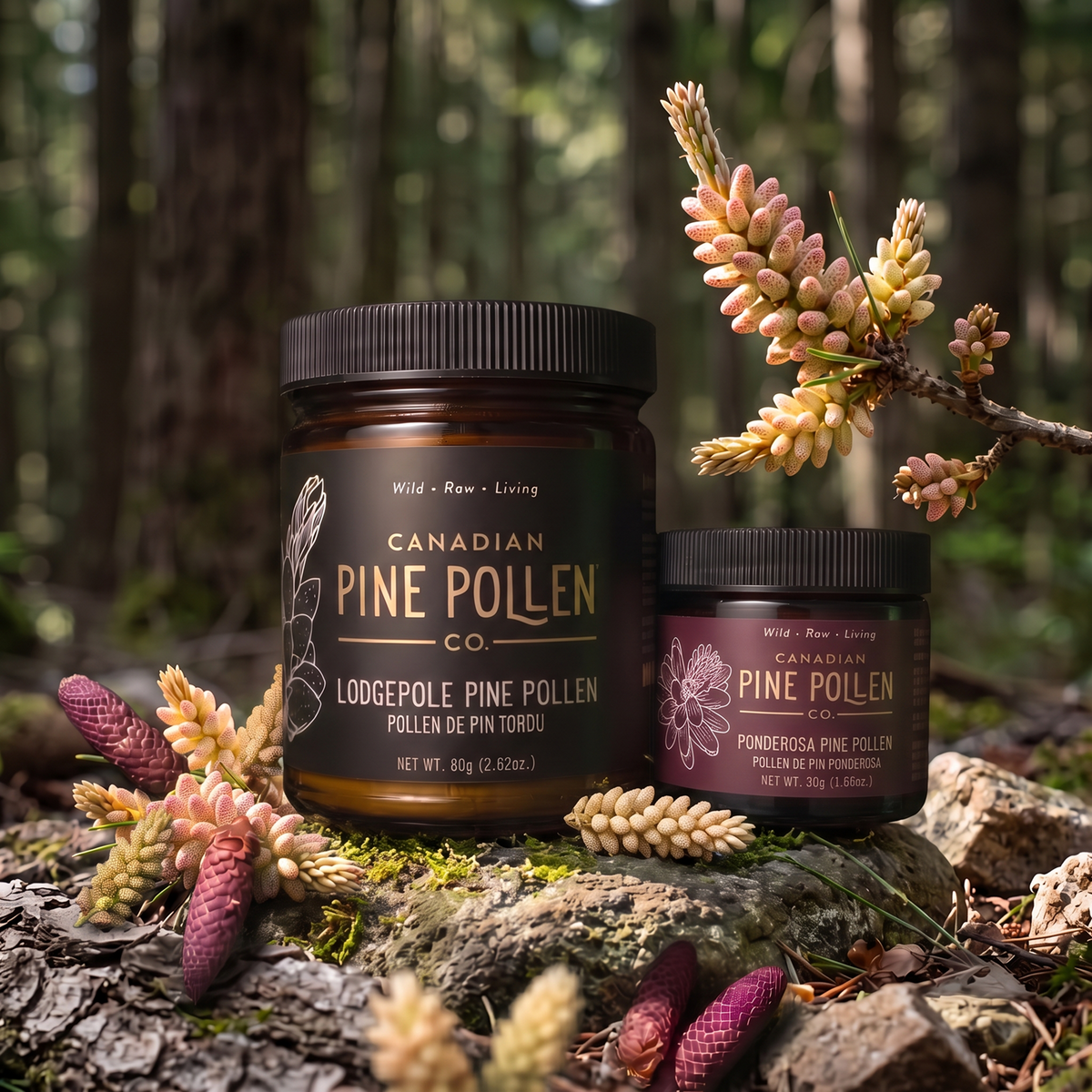 Wild Organic Pine Pollen Duo Pack = Lodgepole + Ponderosa