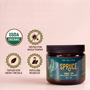 Premium Freeze Dried Spruce Tips