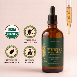 Pine Needle Tincture and Spruce Tip Tincture- Evergreen C