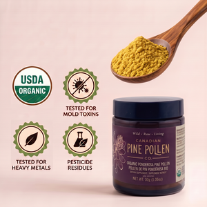 Poudre de pollen de pin ponderosa sauvage – Certifié biologique (70 g-2,9 oz)