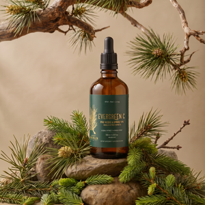 Pine Trio: Evergreen C + Ponderosa + Lodgepole Tincture