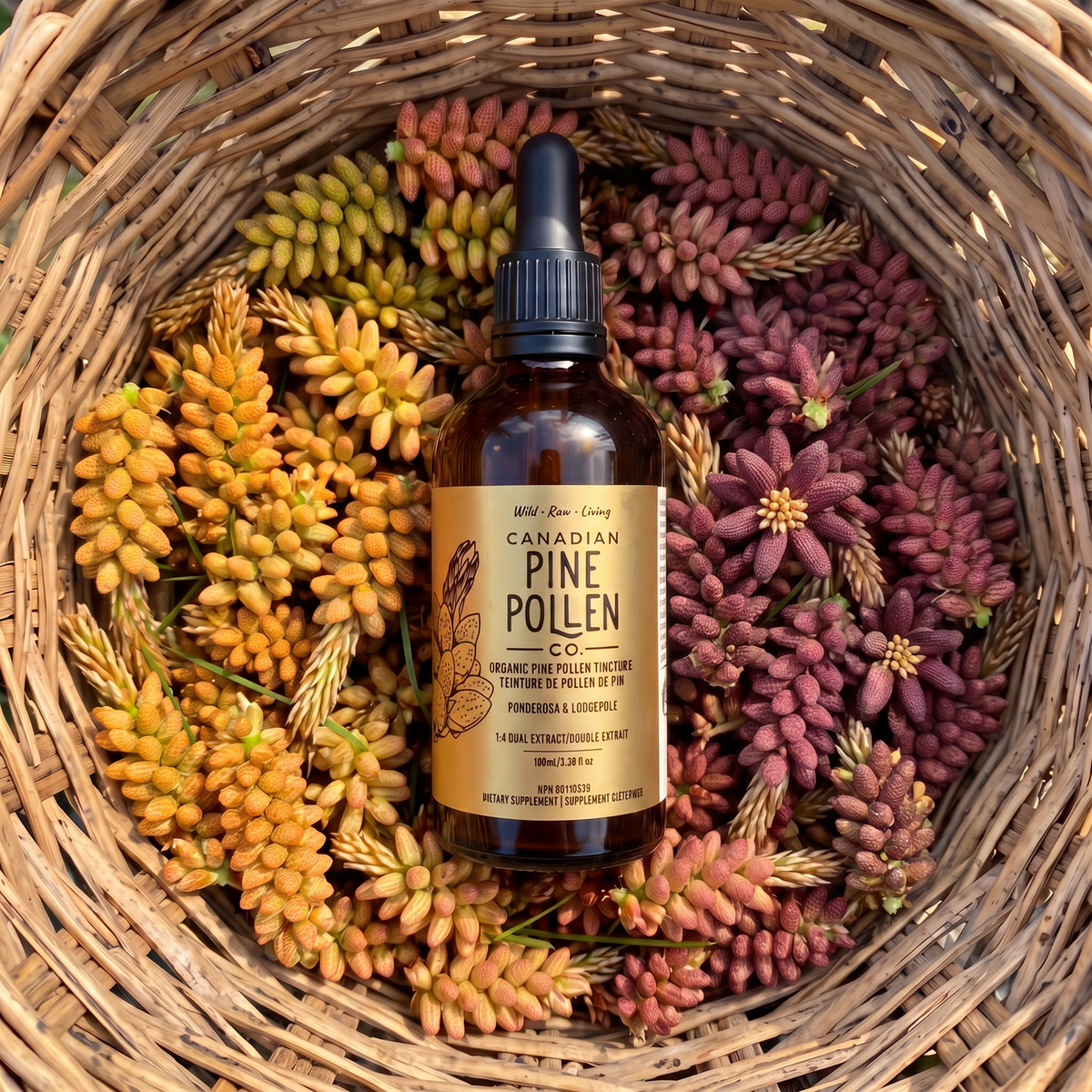 Original High Potency Trio: Gold Label Pine Pollen Tincture, Gold Label Pine Pollen Powder