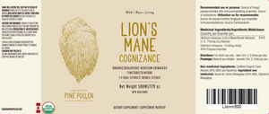 Organic Lion's Mane Tincture | dual extract- Fruiting body