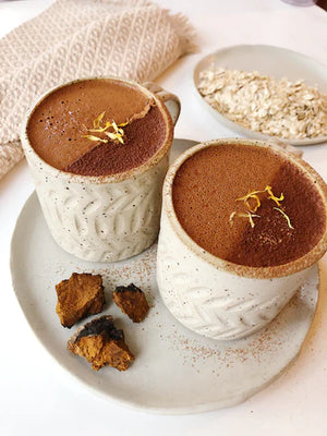 Wild Chaga Mushroom - 150g (5.3 oz)