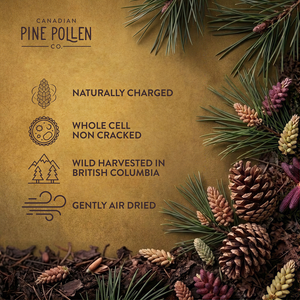 Certified Organic Pine Pollen Powder - Wildcrafted