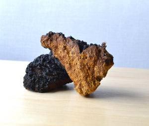 Five Revive Mushroom Complex (250mg/ml) | 1:4 dual extract- Fruiting body