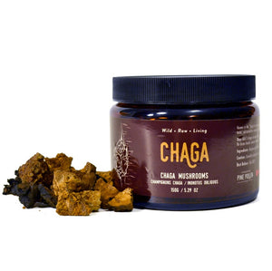 Chaga mushrooms chunk