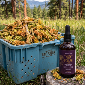 Wild Ponderosa Pine Pollen Tincture Certified Organic