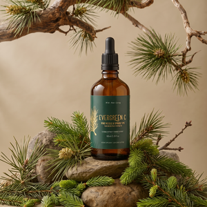 Pine Needle Tincture and Spruce Tip Tincture- Evergreen C