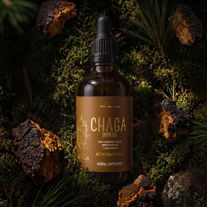 Chaga Mushroom Dual Extract| Wild Certified Organic Chaga Tincture