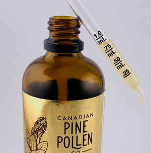 High Potency Pine Pollen Duo| 250mg Pine Pollen Per 2 ML Tincture