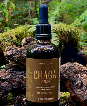 Chaga Mushroom Dual Extract| Wild Certified Organic Chaga Tincture (250mg/ml)