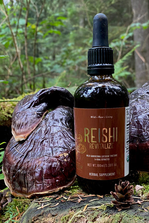 Wild Reishi Tincture (250mg/ml) | 1:4 Dual Extract (100ml/3.4oz)