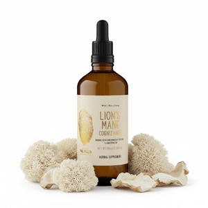 Organic Lion's Mane Tincture (250mg/ml) | 1:4 dual extract- Fruiting body (100ml/3.4oz)