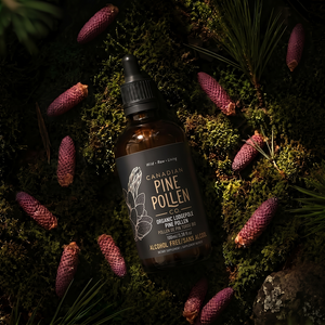 Lodgepole Tincture (Non Alcohol)