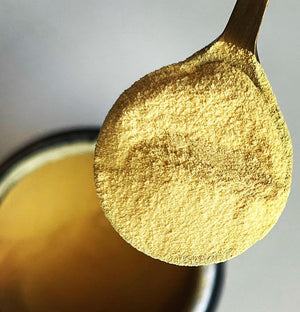 Pine pollen powder yellow close up