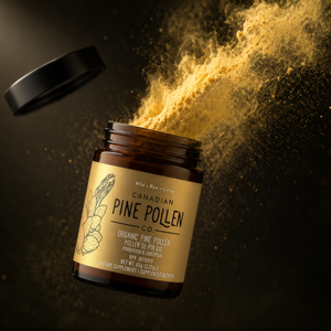 Pine Pollen Trio: Lodgepole Non-alcoholic + Pondersa Powder + Gold Label Ticture