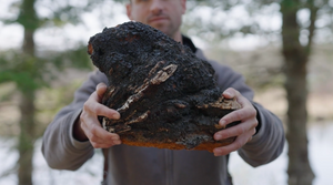 Wild Chaga Mushroom - 150g (5.3 oz)