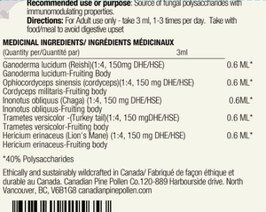 Wild Mushroom Tincture 5-pack; 1:4 Dual Extract-250mg/ml (500ml/13.6oz)