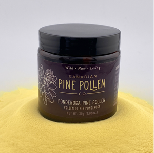 Poudre de pollen de pin ponderosa sauvage – Certifié biologique 30 g (1 oz)