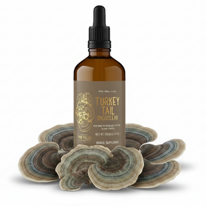 Wild Turkey Tail Organic Tincture Certified | Ultrasonic 1:4 dual extract (3.38fl oz/100ml)