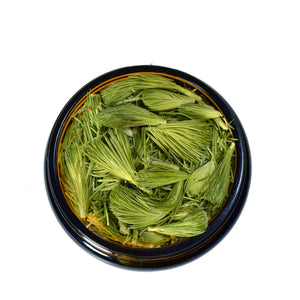 Premium Freeze Dried Spruce Tips - (28g-1 oz.)