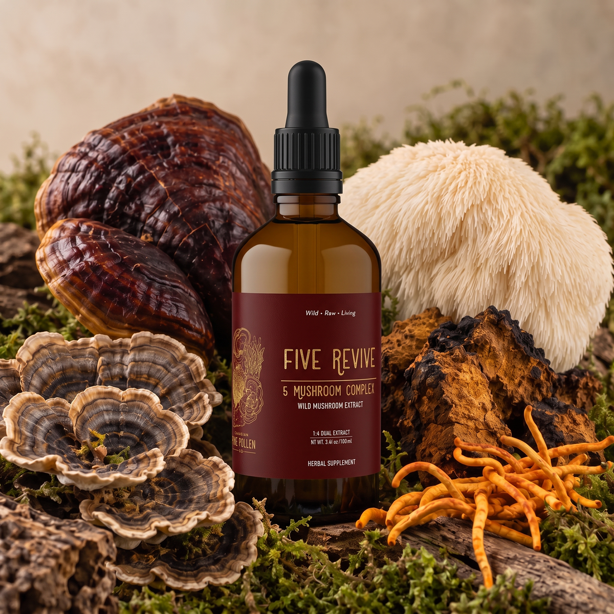 Wild Mushroom Complex, Organic | dual extract- Fruiting body