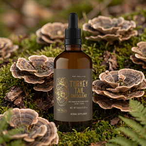 Wild Turkey Tail Organic Tincture Certified | Ultrasonic dual extract