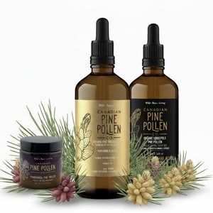 Pine Pollen Trio: Lodgepole Non-alcoholic + Pondersa Powder + Gold Label Ticture