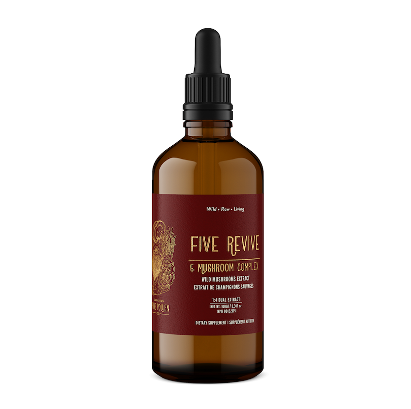 Wild Mushroom Complex, Organic (250mg/ml) | 1:4 dual extract- Fruiting body