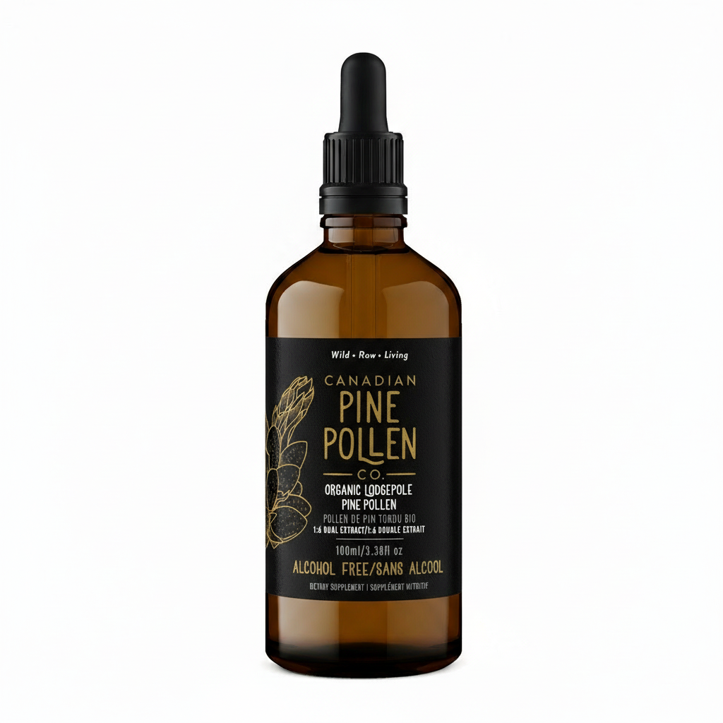 Teinture de pollen de pin tordu 1:6 - Certifiée biologique (100 ml-3,4 fl oz)