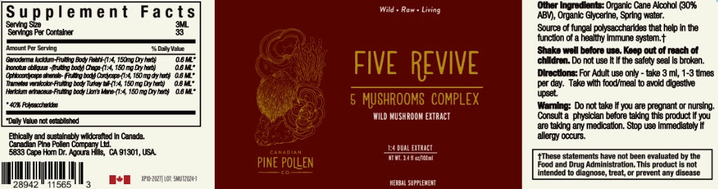 Wild Mushroom Complex, Organic (250mg/ml) | 1:4 dual extract- Fruiting body