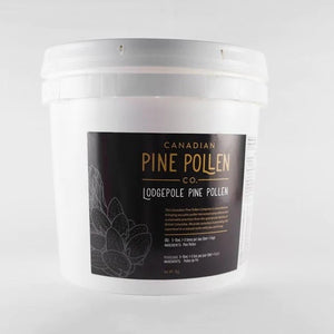 Wild Pine Pollen - Certified Organic Lodgepole- 1kg (2.2lb)