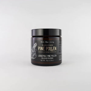 Wild Lodgepole Pine Pollen Powder - Certified Organic
