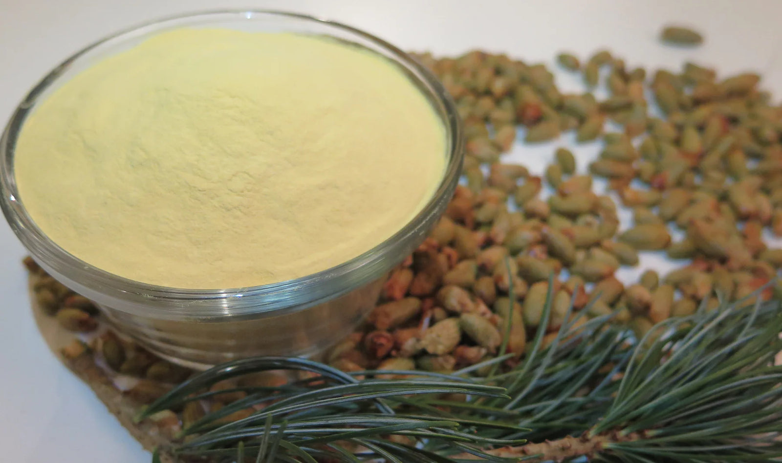 Where to buy Pine pollen powder and Tinctures
