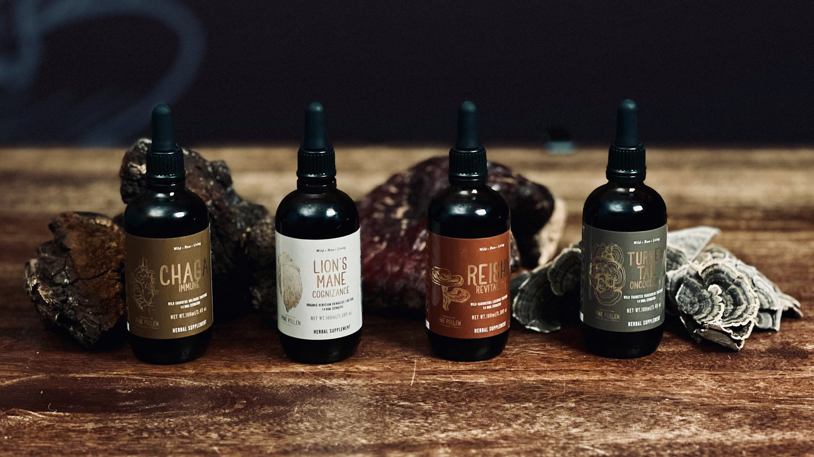 Unlock Deep Healing Power of Wild Foraged Mushrooms