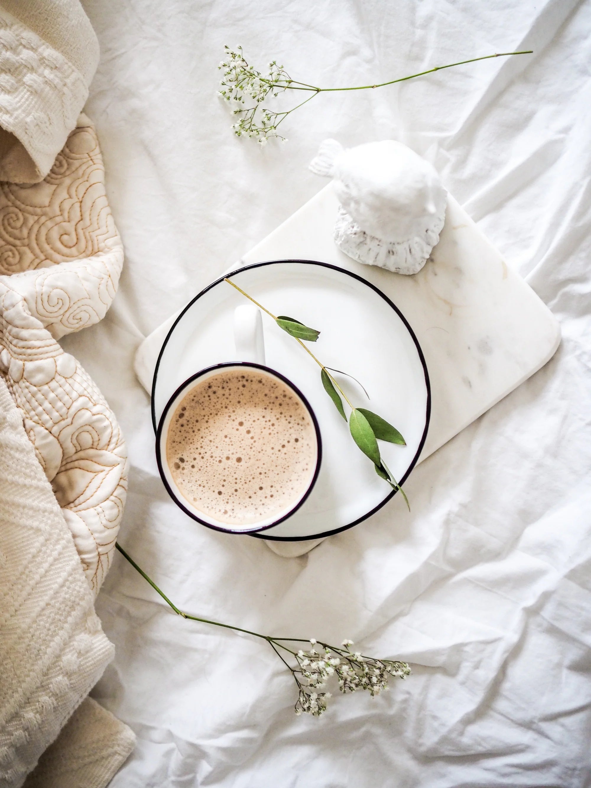 Chaga Mushroom Tea Latte | Canadian Pine Pollen 