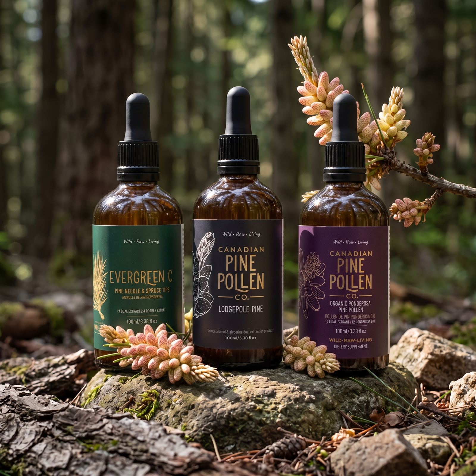 Pine Trio: Evergreen C + Ponderosa + Lodgepole Tincture