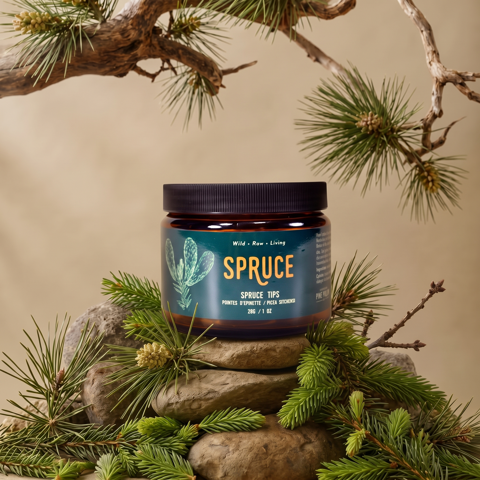 Premium Freeze Dried Spruce Tips