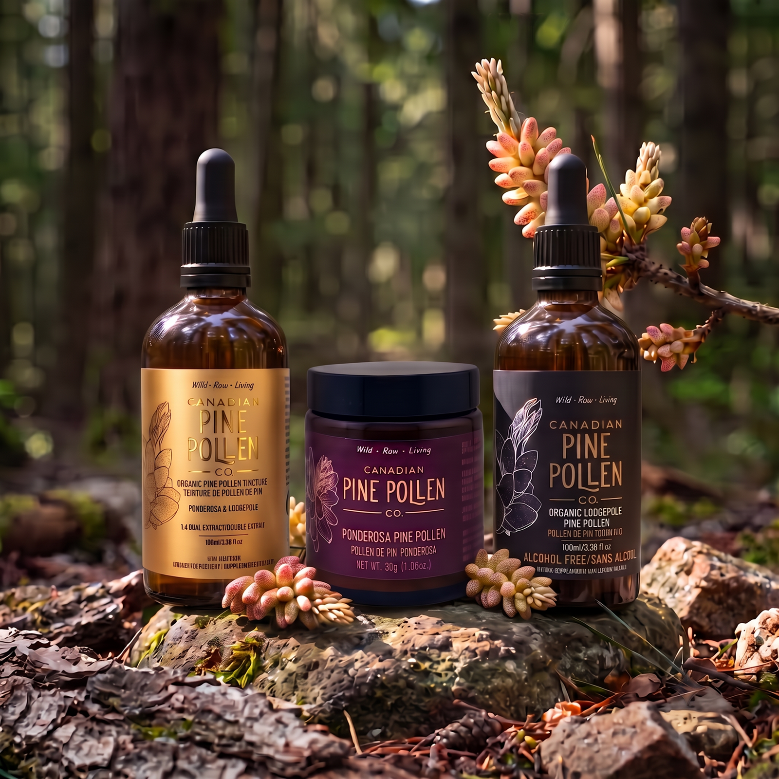 Pine Pollen Trio: Lodgepole Non-alcoholic + Pondersa Powder + Gold Label Ticture
