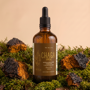 Chaga Mushroom Dual Extract| Wild Certified Organic Chaga Tincture
