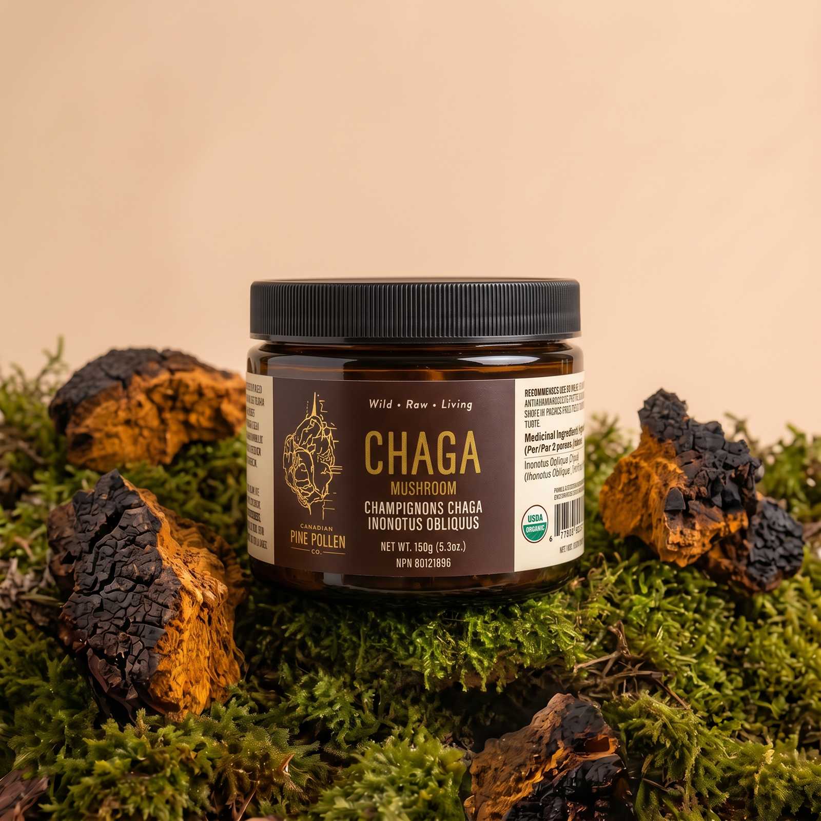 Certified Organic Wild Chaga Mushroom