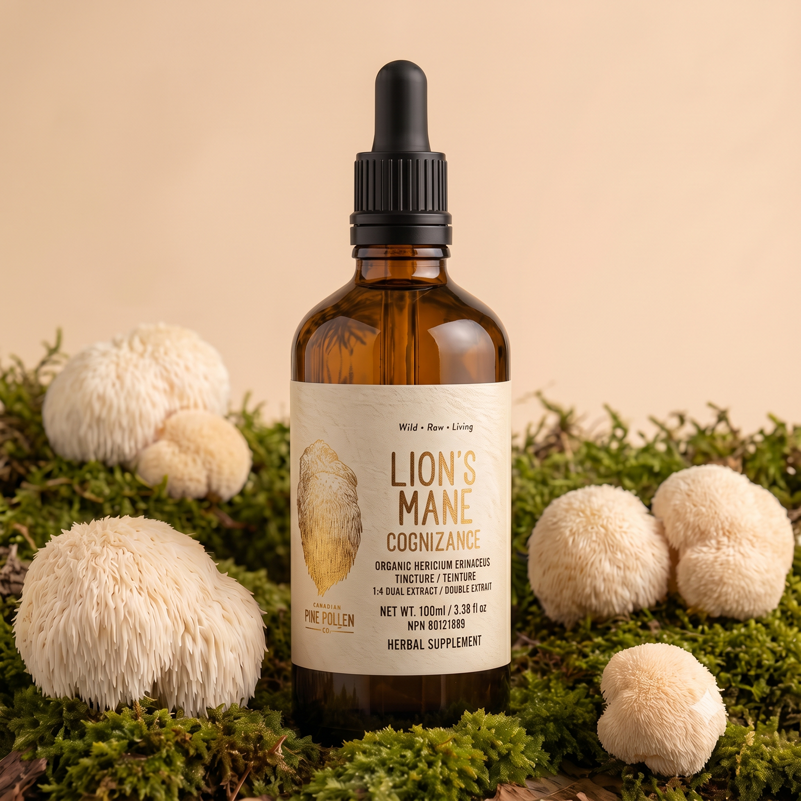 Organic Lion's Mane Tincture | dual extract- Fruiting body