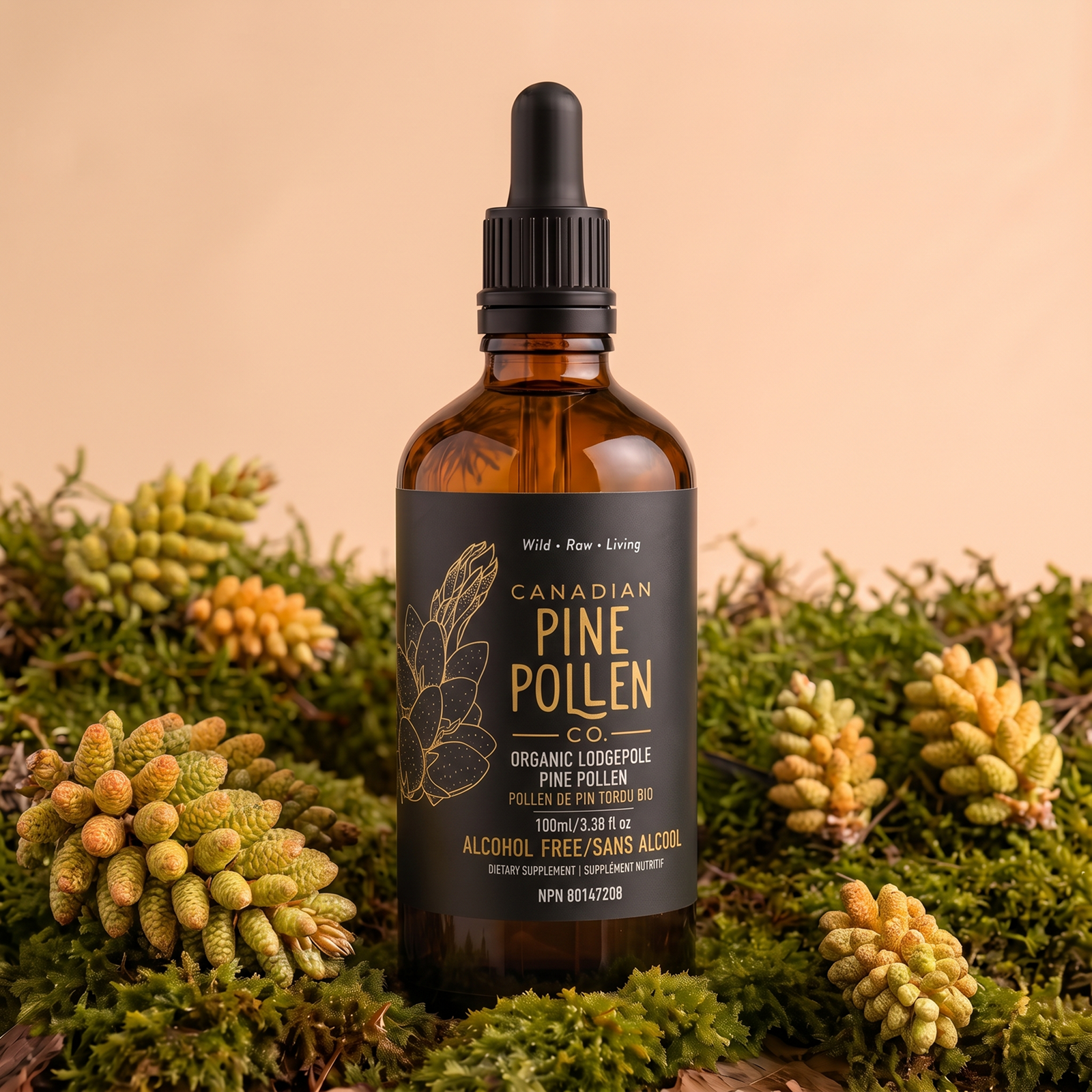 Lodgepole Tincture (Non Alcohol)