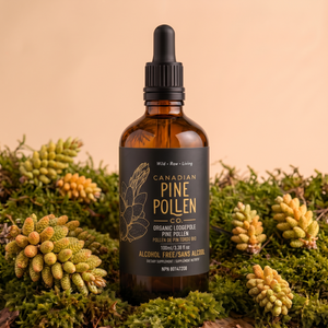 Lodgepole Tincture (Non Alcohol)